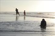 A day at the beach